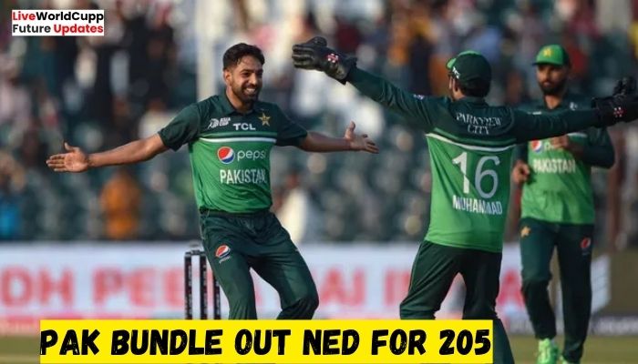 PAK bundle out NED for 205|